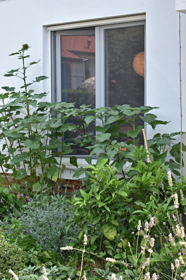 Apartament Postaja 33 Zgornje Skofije Zewnętrze zdjęcie